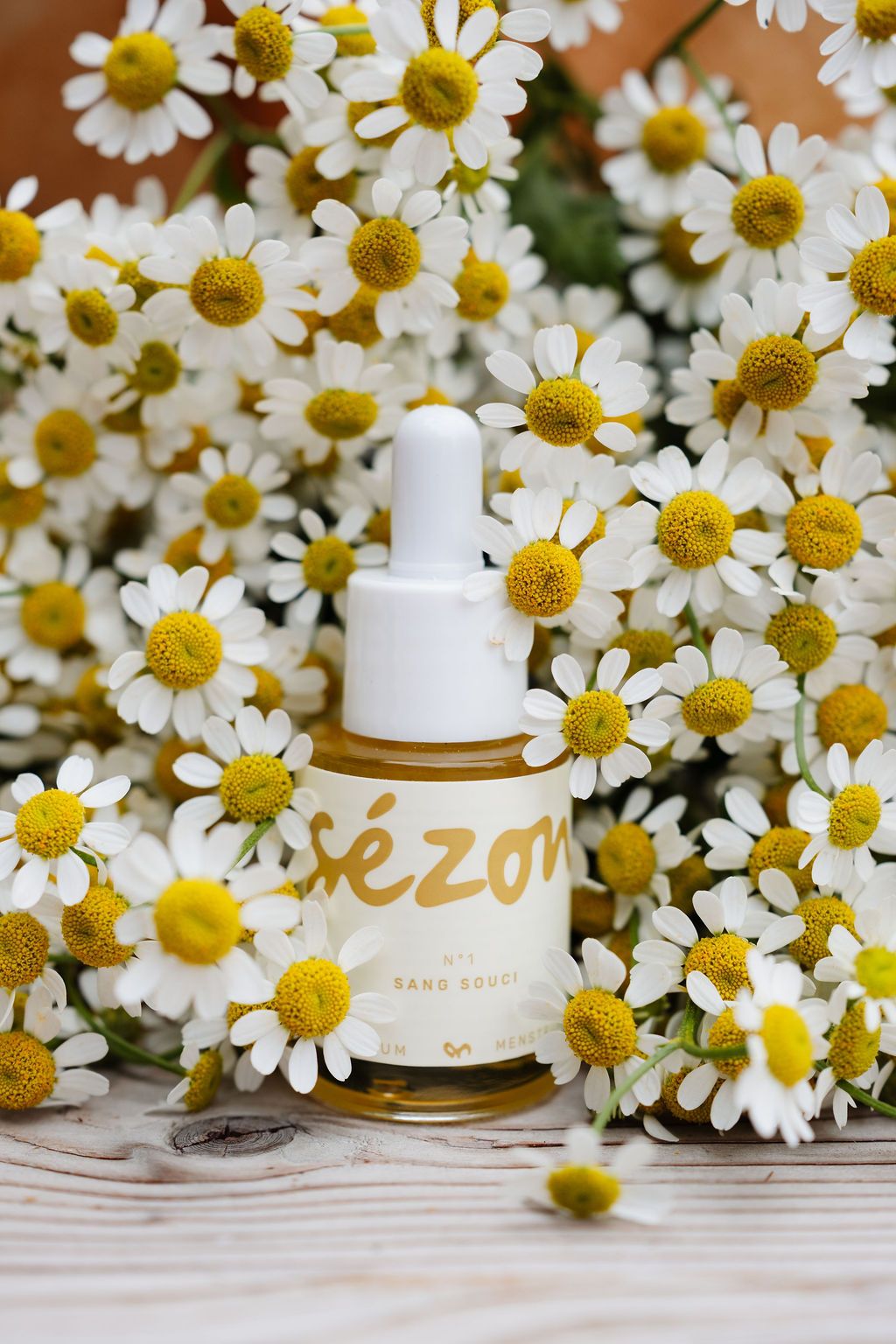 A Sézon serum bottle among fresh chamomile flowers